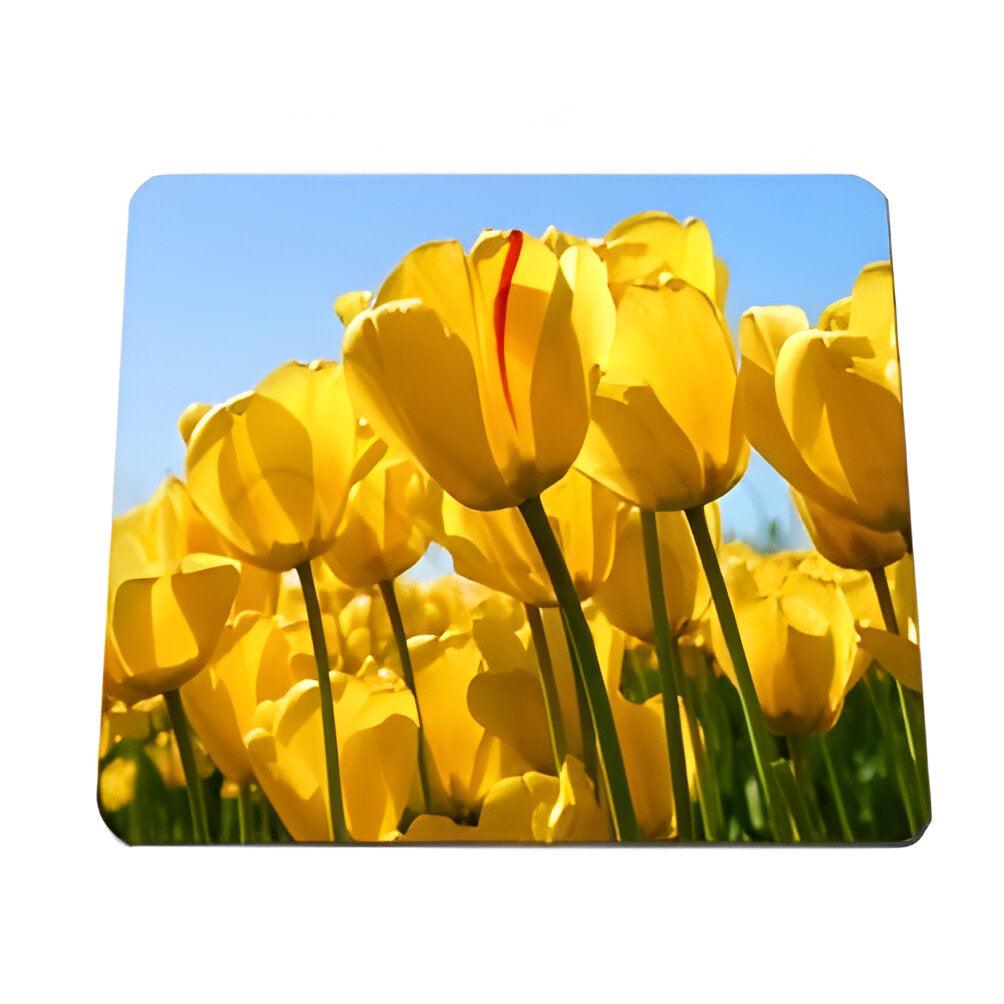 Fridge Magnet - 10 x Rubber - Square - 9.5cm - Longforte Trading Ltd