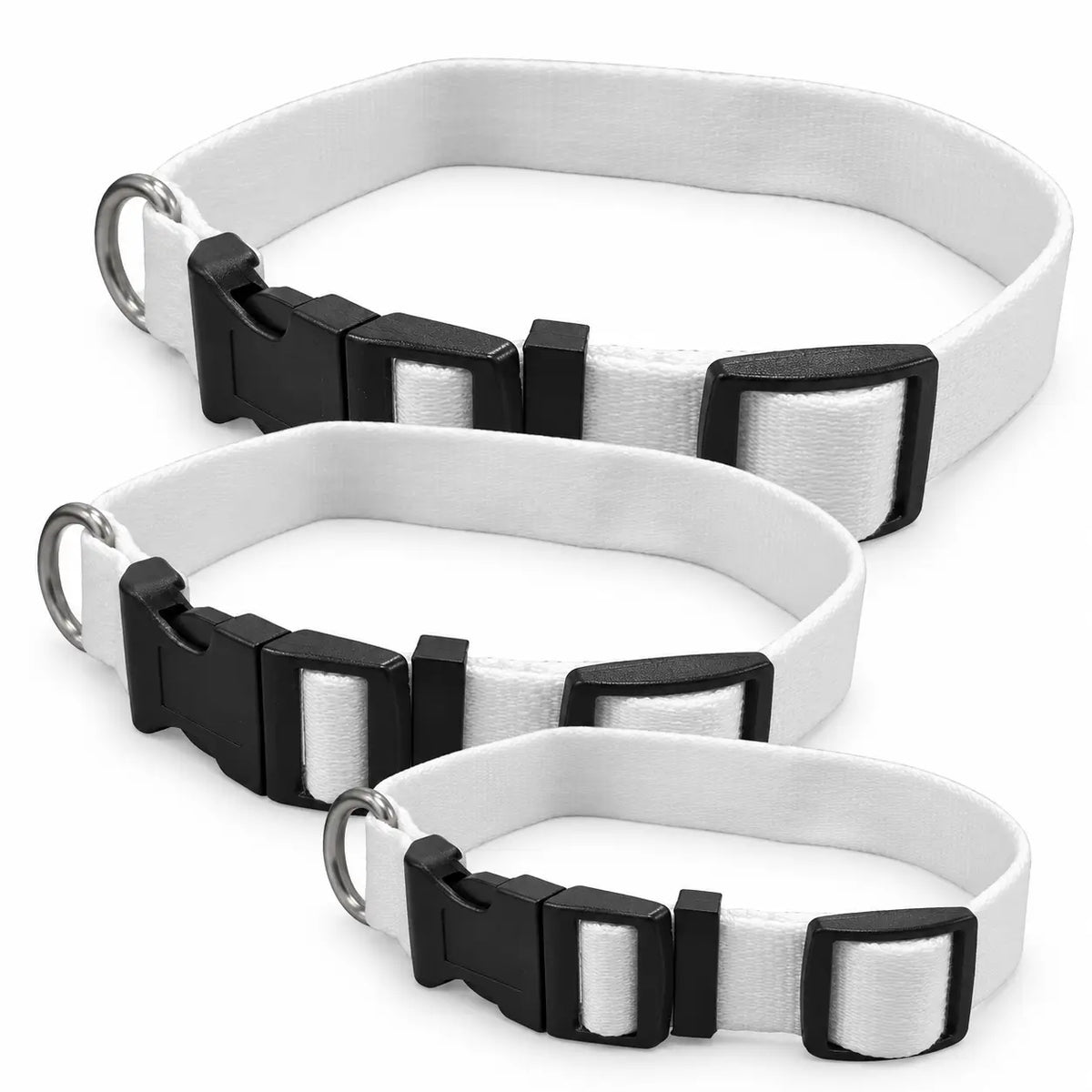 Sublimation Dog Collar