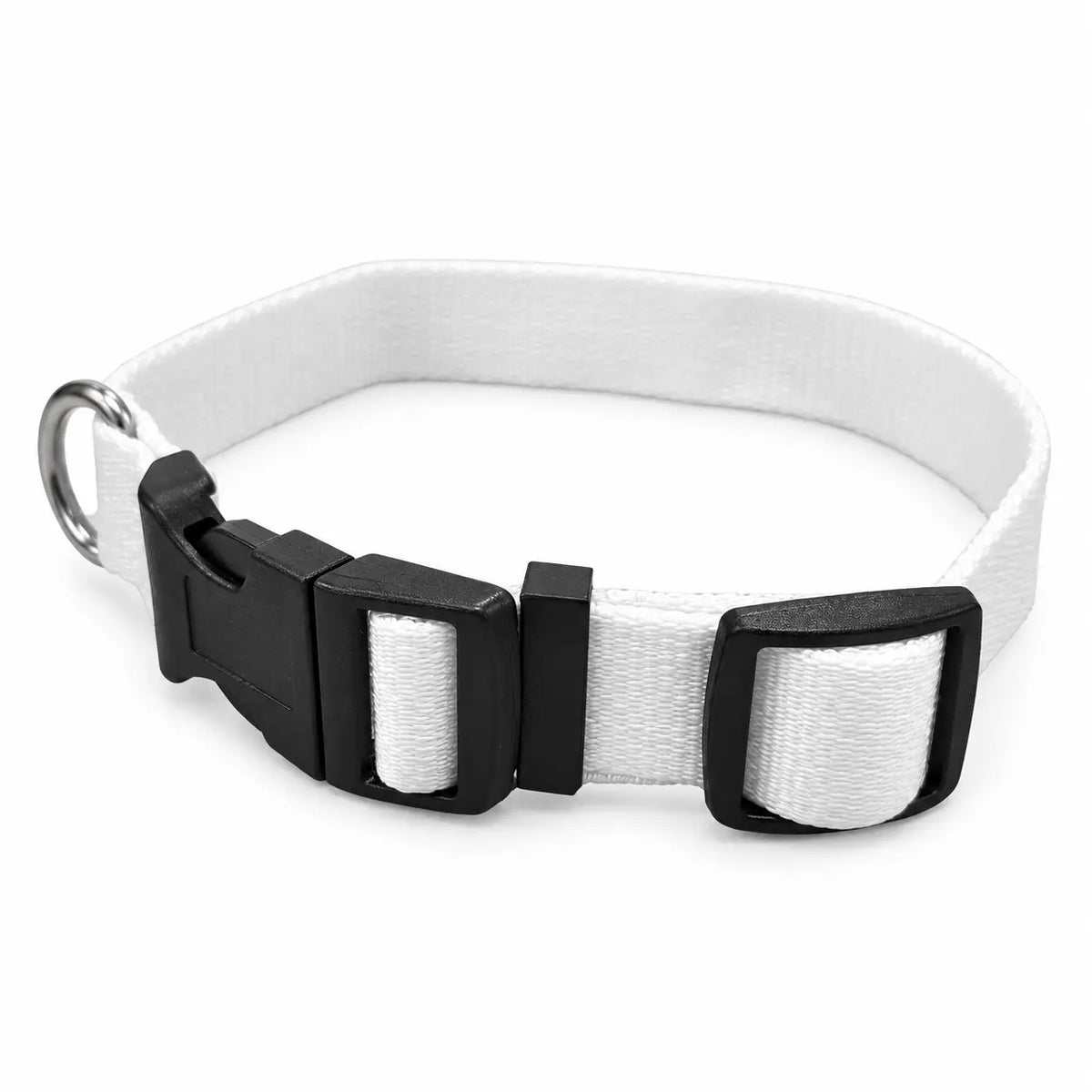 Sublimation Dog Collar