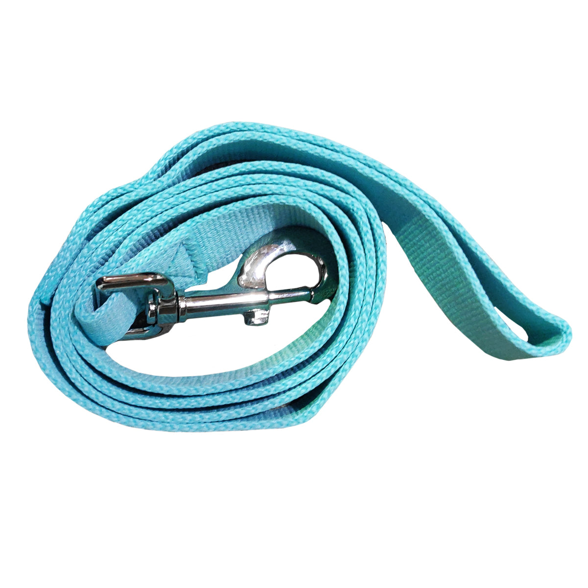 Haustierprodukte - Haustierleine - 1,2 m - Mintgrün