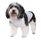 Pet Products - Dog Top Tank T-Shirt - White