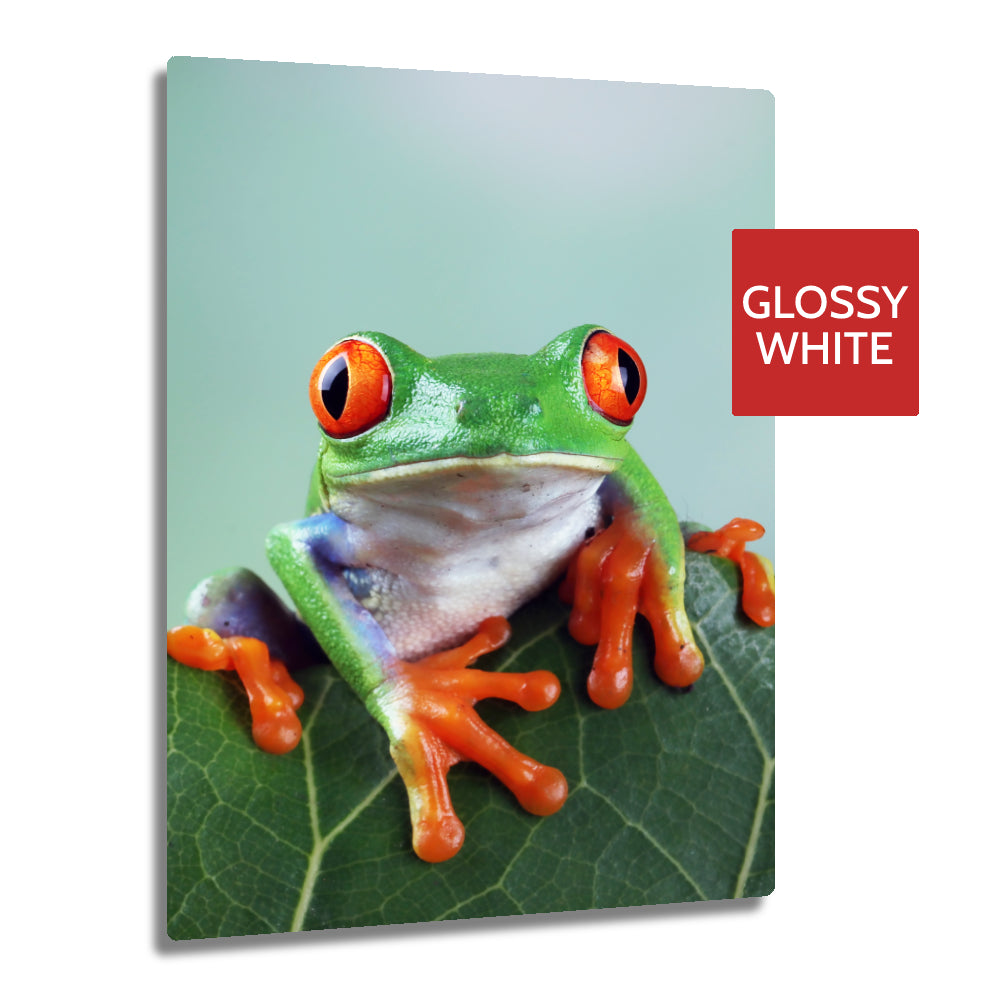 Ultra HD GLOSS WHITE 1.15mm Aluminium Sheets - 6" x 7.8" (15cm x 20cm) - Longforte Trading Ltd