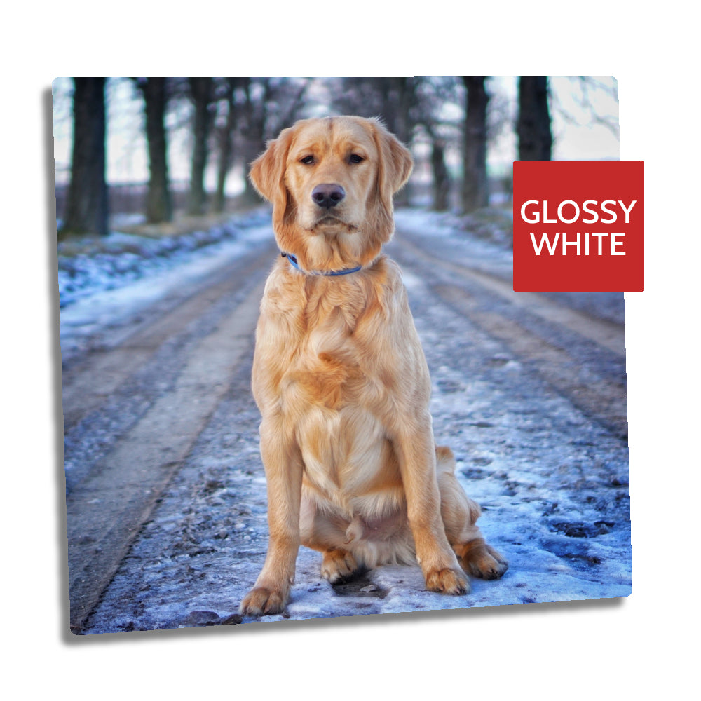 Ultra HD GLOSS WHITE 1.15mm Aluminium Sheets - 16" x 16" (40.6cm x 40.6cm) - Longforte Trading Ltd