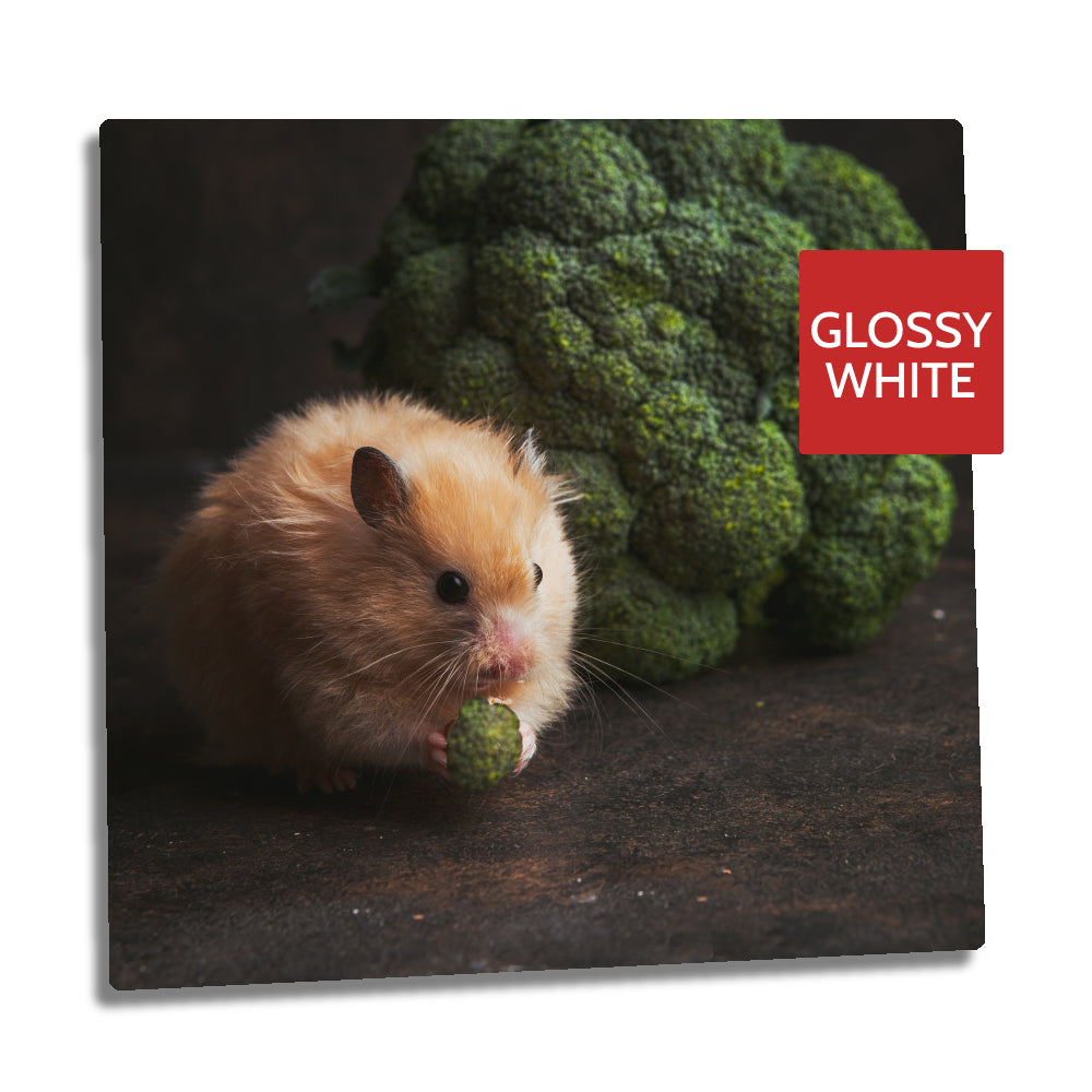 Ultra HD GLOSS WHITE 1.15mm Aluminium Sheets - 5" x 5" (12.7cm x 12.7cm) - Longforte Trading Ltd