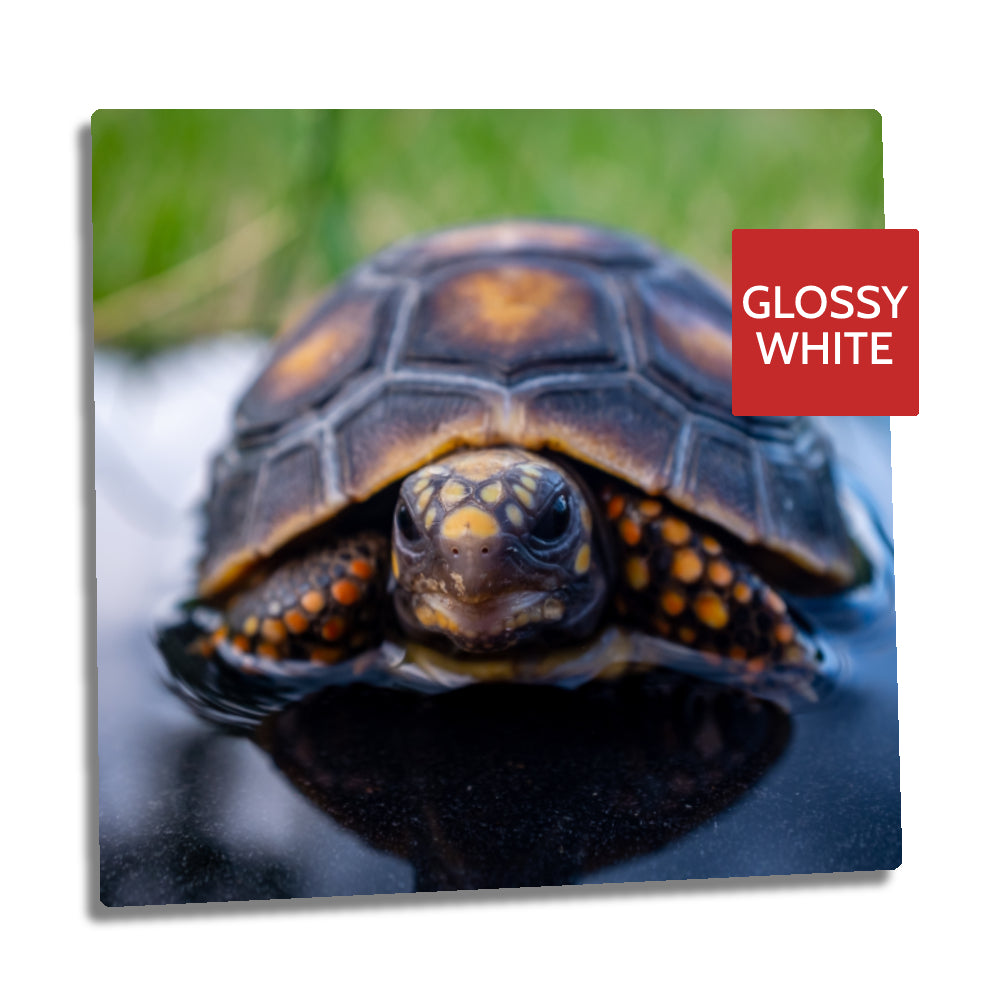 Ultra HD GLOSS WHITE 1.15mm Aluminium Sheets - 8" x 8" (20.3cm x 20.3cm) - Longforte Trading Ltd