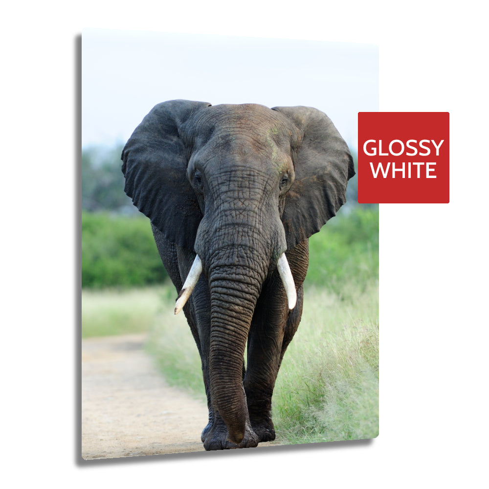 Ultra HD GLOSS WHITE 1.15mm Aluminium Sheets - 16" x 20" (40.6cm x 50.8cm) - Longforte Trading Ltd