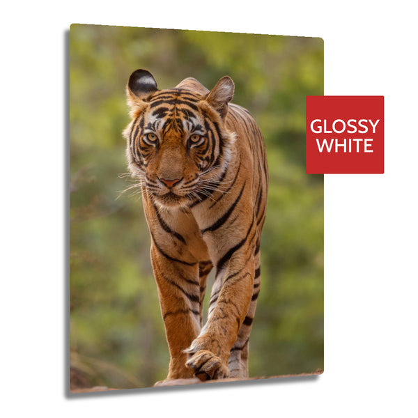 Ultra HD GLOSS WHITE 1.15mm Aluminium Sheets - 7.8" x 11.8" (20cm x 30cm) - Longforte Trading Ltd