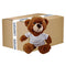 FULL CARTON - 50 x Dark Brown Teddy Bears with Printable T-Shirt