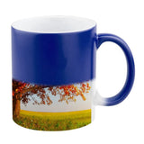 Blue 11oz Sublimation Colour-Changing Mugs, pack of 48