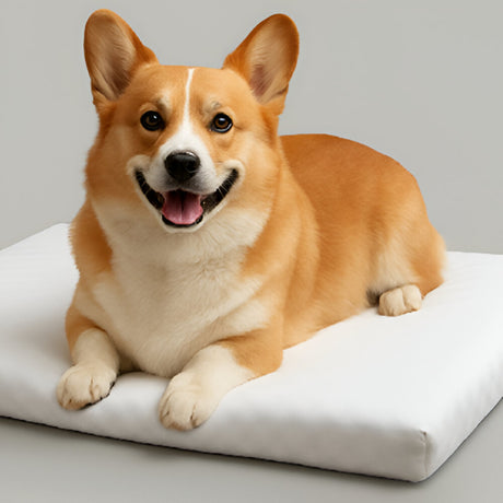 Sublimation Pet Mat with Non-Slip Bottom - 60cm x 90cm - Large