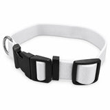 Sublimation Dog Collar