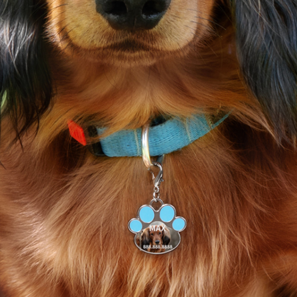 Dog Tag - Médaille en forme d'empreinte de pied avec bord bleu 