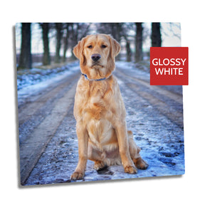 Ultra HD GLOSS WHITE 1.15mm Aluminium Sheets - 16" x 16" (40.6cm x 40.6cm) - Longforte Trading Ltd