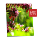 Ultra HD GLOSS WHITE 1.15mm Aluminium Sheets - 15.7" x 23.5" (40cm x 60cm) - Longforte Trading Ltd