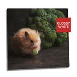 Ultra HD GLOSS WHITE 1.15mm Aluminium Sheets - 5" x 5" (12.7cm x 12.7cm) - Longforte Trading Ltd
