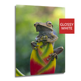Ultra HD GLOSS WHITE 1.15mm Aluminium Sheets - 11" x 14" (28cm x 35.5cm) - Longforte Trading Ltd