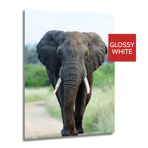 Ultra HD GLOSS WHITE 1.15mm Aluminium Sheets - 16" x 20" (40.6cm x 50.8cm) - Longforte Trading Ltd