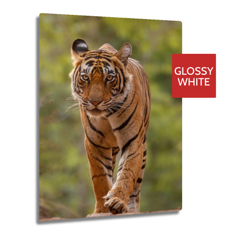 Ultra HD GLOSS WHITE 1.15mm Aluminium Sheets - 7.8
