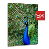 Ultra HD GLOSS WHITE 1.15mm Aluminium Sheets - 11.7" x 17.7" (30cm x 45cm) - Longforte Trading Ltd