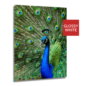 Ultra HD GLOSS WHITE 1.15mm Aluminium Sheets - 11.7" x 17.7" (30cm x 45cm) - Longforte Trading Ltd