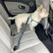 Pet Products - Safety Seatbelt for Pets - Plain White
